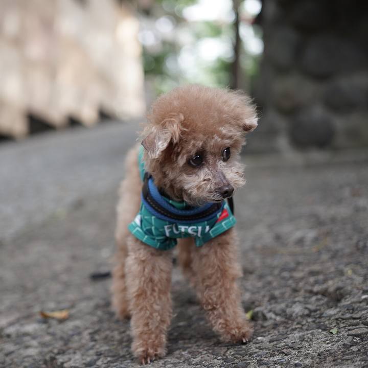 Da244e90 8af6 470f bbcd 57751768d2a6 1697254274932