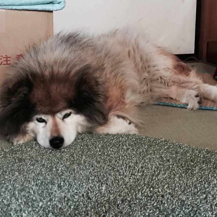 Da2450c9 4030 448b b48c 42374b70a238 1610501163208