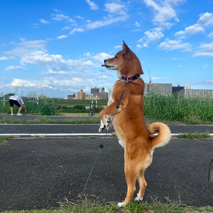 Da249b77 def2 4e06 b157 4b87dfe870c3 1695965679060