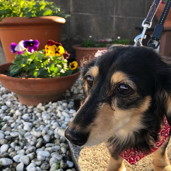 Da24c56c 6e84 48c3 b24e ded5bf9fa039 1606521111442