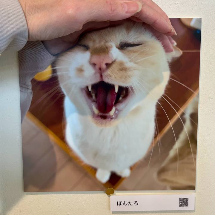 Da24d563 e535 4b84 9c56 2d49ae6127c5 1766898279556