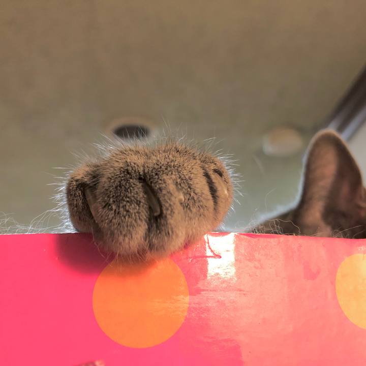 Da24e244 12a2 4bee b751 35ec1ecb3970 1600135869645