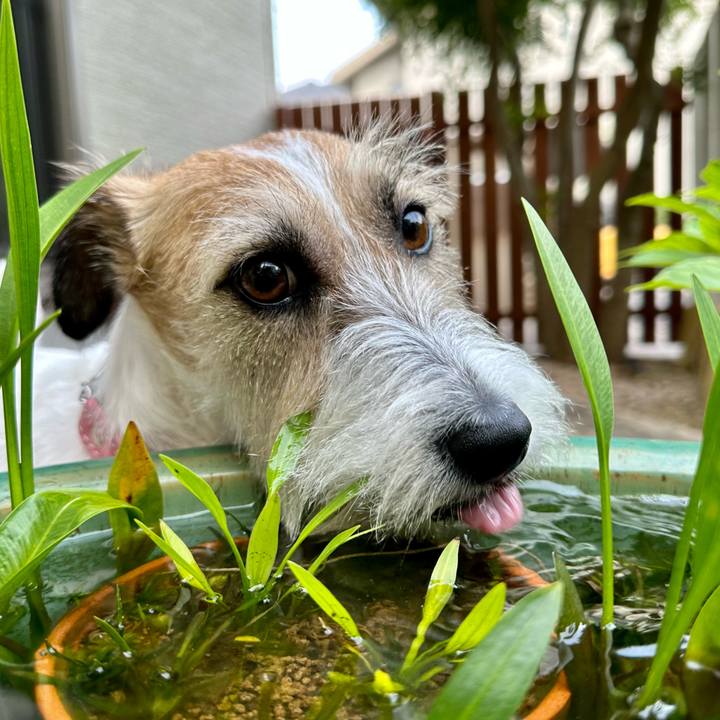 Da24f8cf 513e 49f7 8010 5babe31d5547 1687609479295