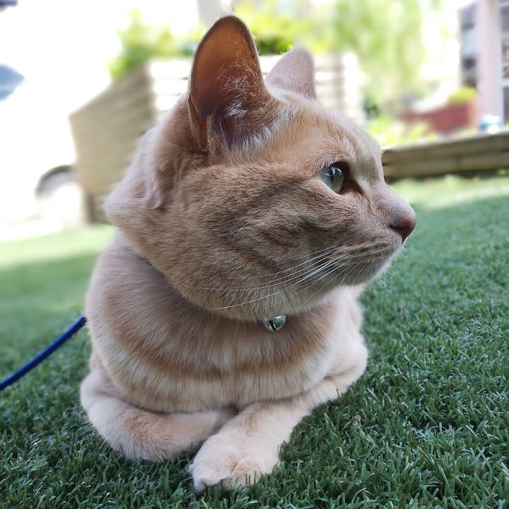 Da254d33 bef1 4b7d ab8e 2d9801bc1897 1622000454481