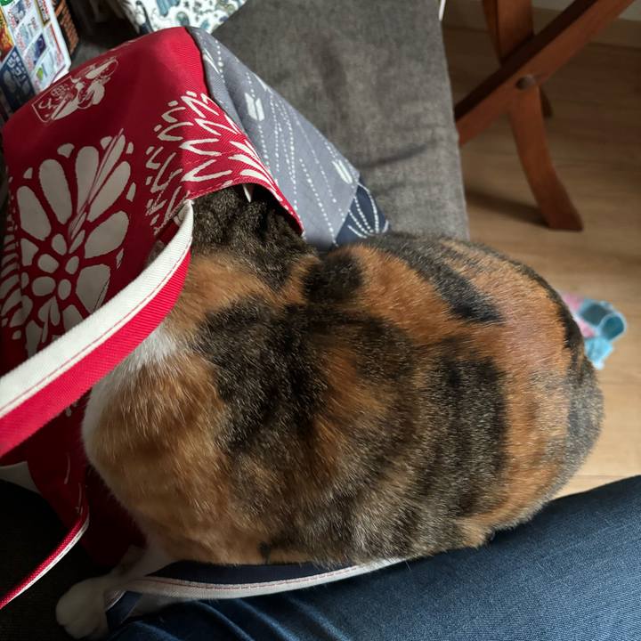 Da25a6ba 4c94 4d31 99a9 6e8213e4e4ac 1761810164292