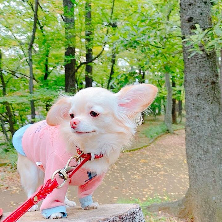 Da25bfb6 91fa 448e a4be b968400a059c 1635816597002