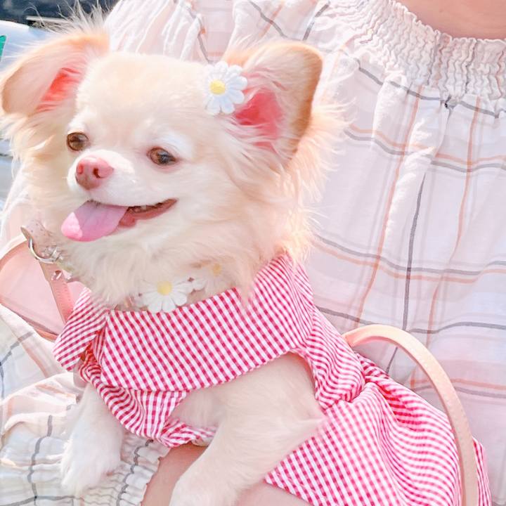 Da25cb9f c1c2 4444 805c 8b076d6ce328 1662258030122