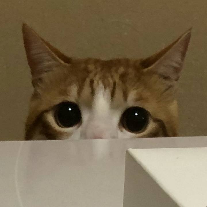 Da25e65f d5b1 459a 882e 6e623491f2d9 1514282863061