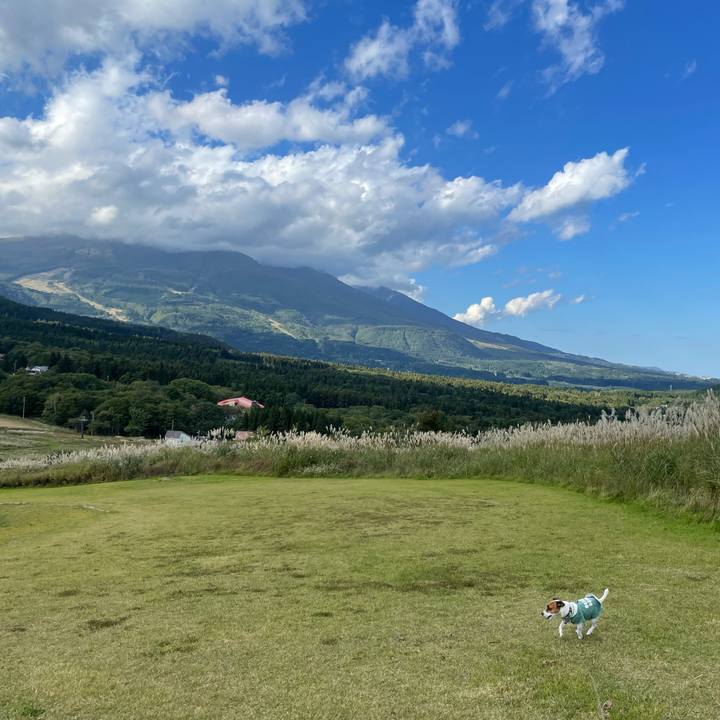 Da26046f 1c9a 4cf3 b62e 26a791415683 1633585291893