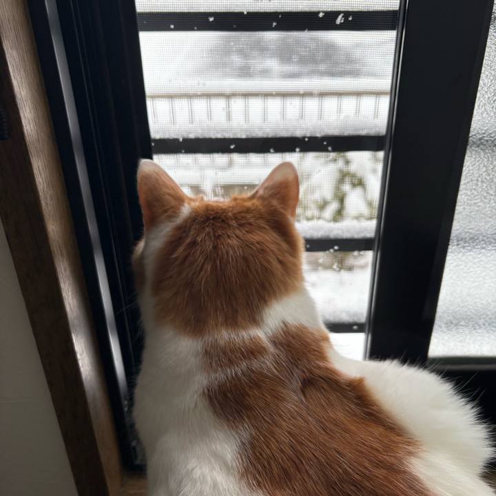 Da260943 1526 40ef b654 0a5ca2d83577 1770521804568