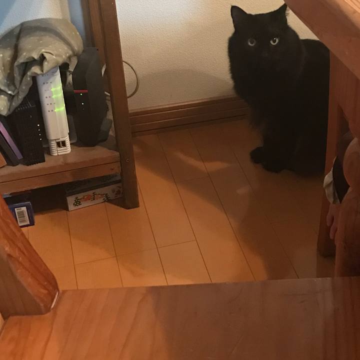 Da262f4d a2b8 496d 9832 b950ebaaceaa 1507815593692