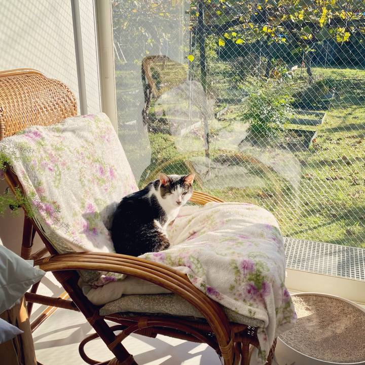 Da2668be 8088 455f a9fc 4b0d799370ed 1604445562273