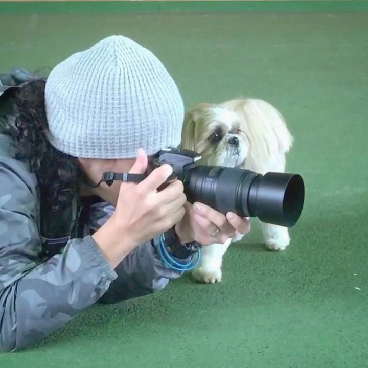 Da267603 3abd 428d 9571 3405a3011cf7 1508500281538