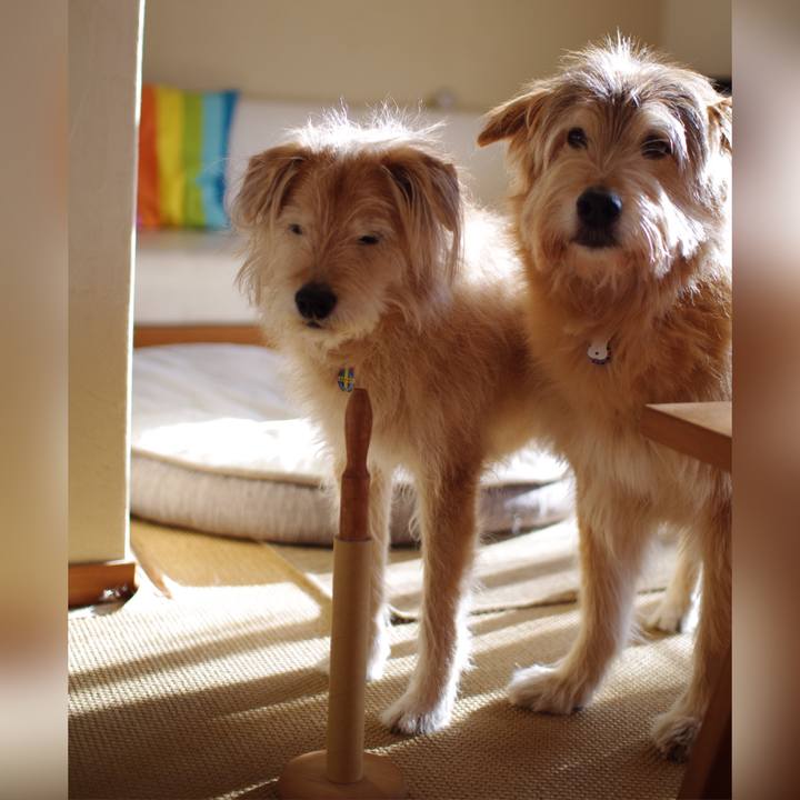 Da26a3e6 2e21 47da aa1c 84a4582a3192 1612921616622