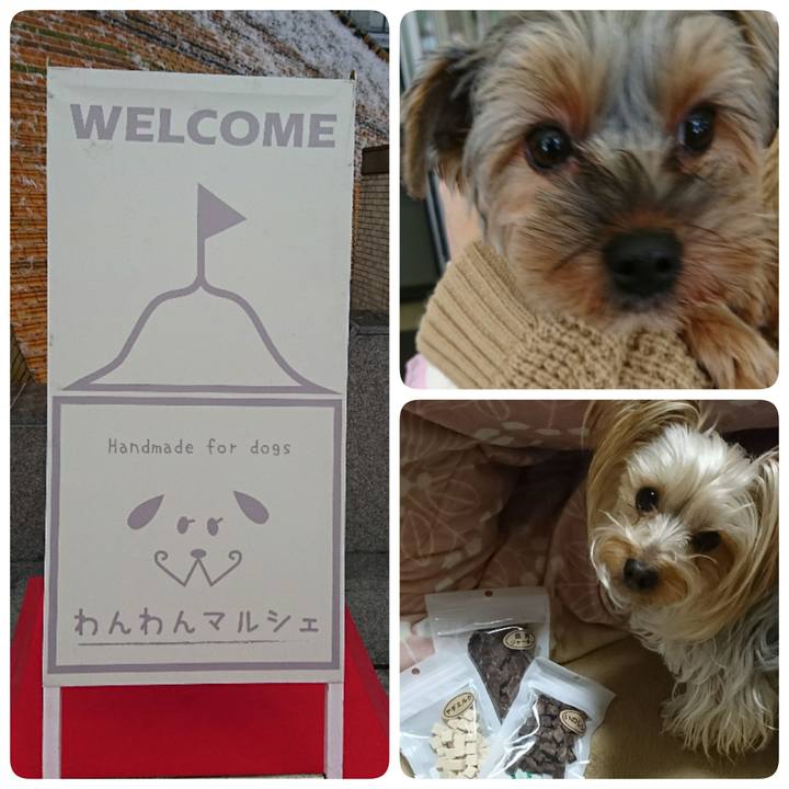 Da26ad27 0692 44f6 9b35 9825fe80410f 1552729839771