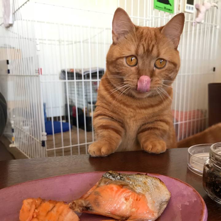 Da26b851 4777 4e71 a167 2d4baa72ce7b 1542940516125