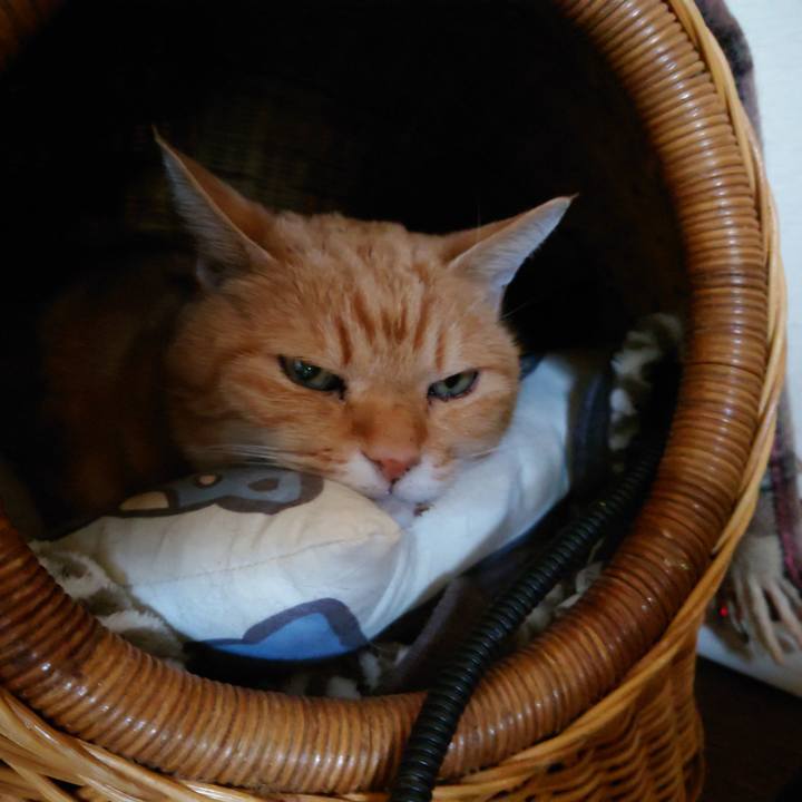 Da26cdf8 8909 4e7e bb9d 24649b46f88b 1737171143392