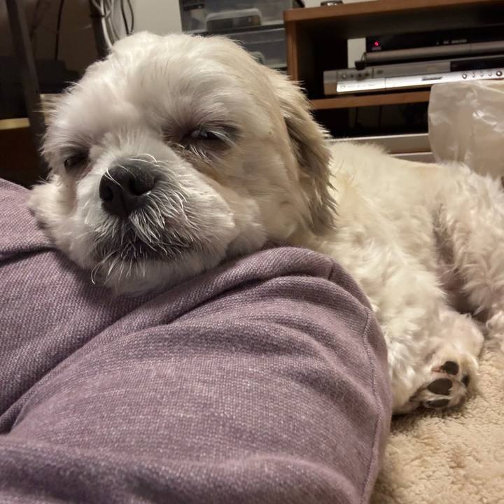 Da26f7f5 85d4 4abd 8709 21370a2d4392 1760565495204