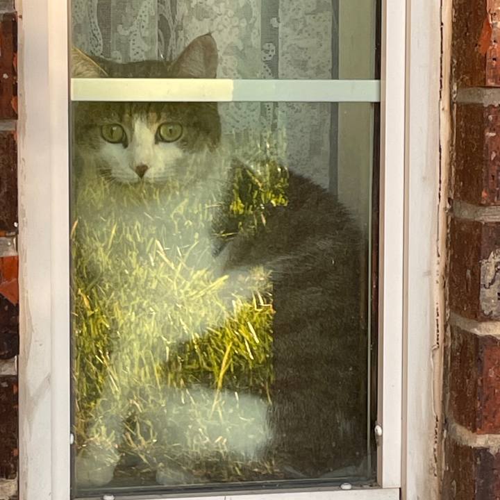 Da26fbac a9cb 4651 b0eb f38e2dfe1d9d 1769548988572