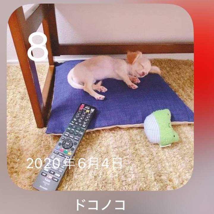 Da272999 a500 44cb 9619 7362a44e2781 1717834146123