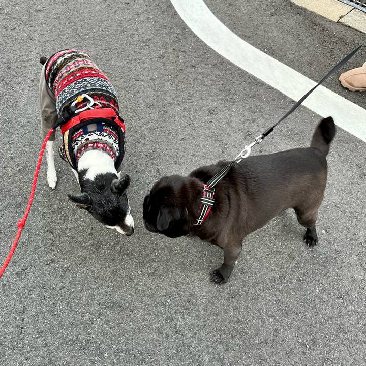 Da274350 f7c1 4cb5 9079 bba644fbed1a 1648590765110