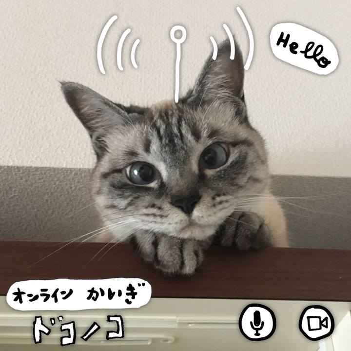 Da2746f7 a49d 4f48 ac02 29fa3302aef8 1590728521280