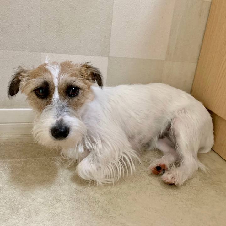 Da278a4d 2ba5 4f05 a966 81e751cef496 1628034943184