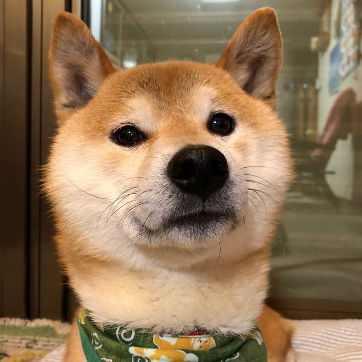 Da27a3f0 7579 4a77 a356 2a0c2780da14 1533299129912