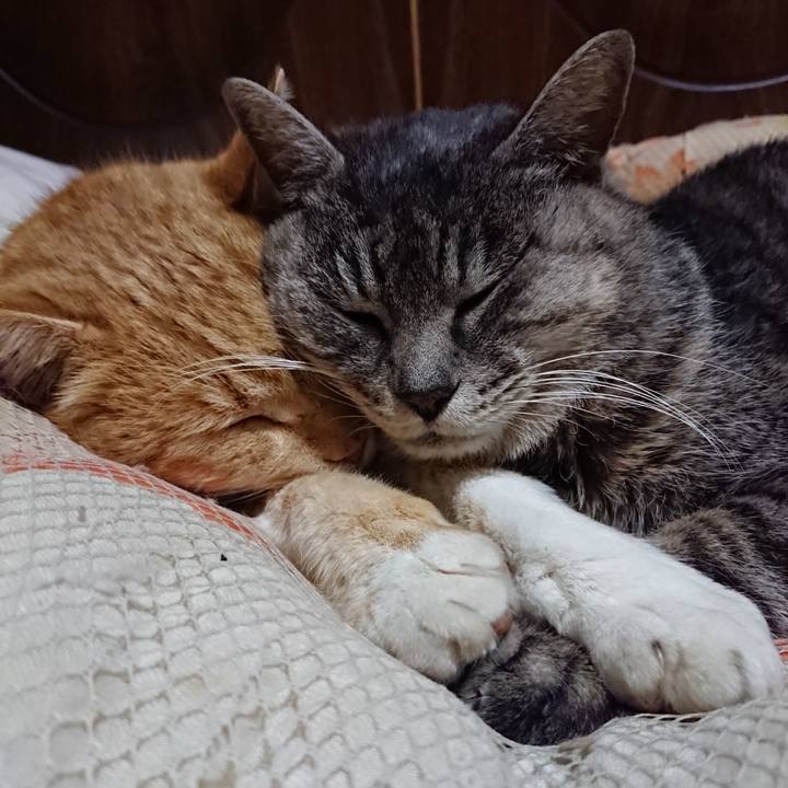 Da27d5f5 1a81 4f7a a6fa 5a79f4c752a1 1578146559323