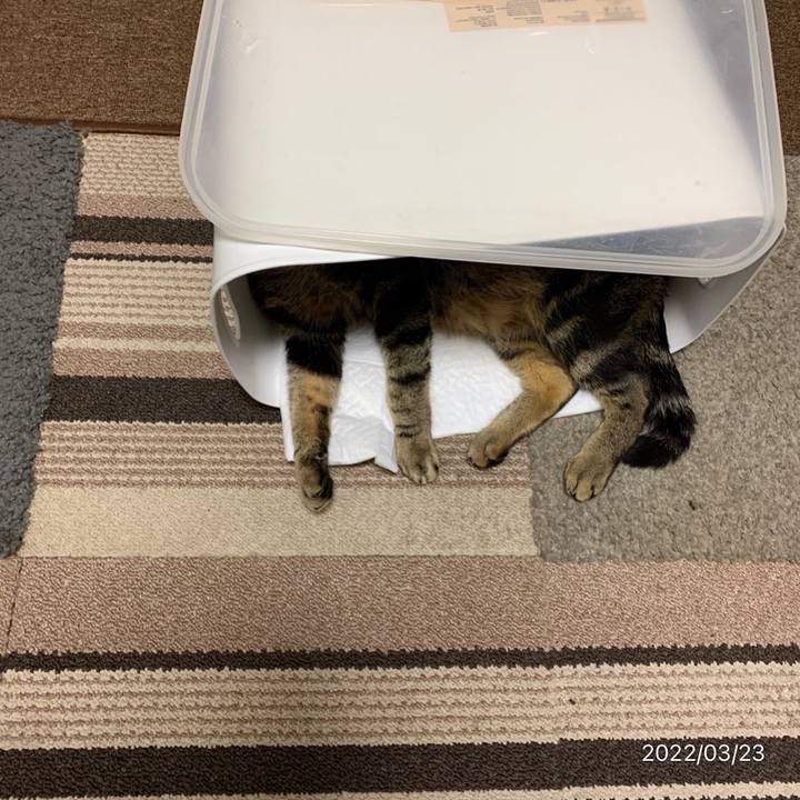 Da27d611 66d9 4c0a b0e8 41837349642c 1647988561150