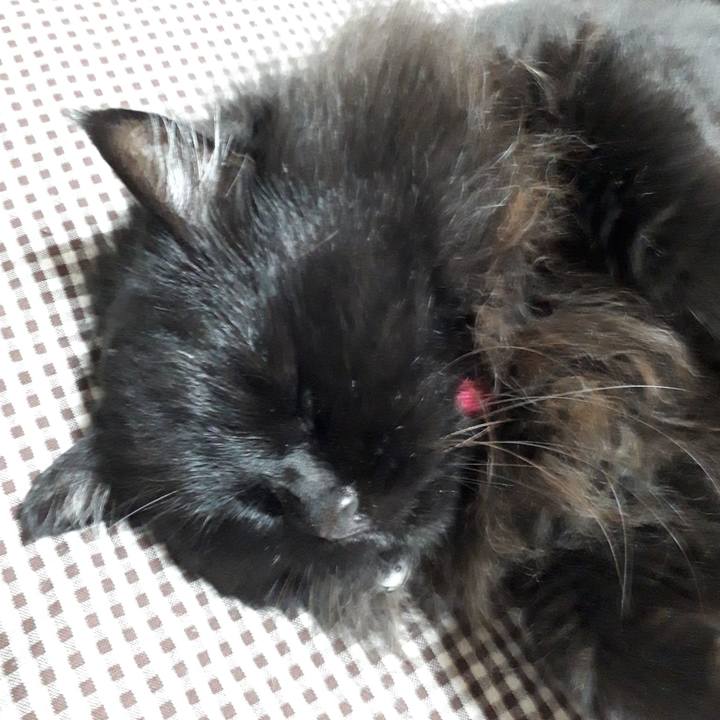 Da280304 3dff 4364 8887 2d9cf069c708 1523962869660