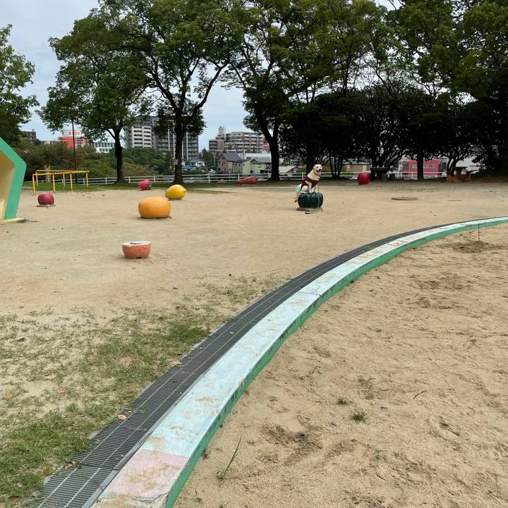 Da2822b8 fc99 490e 9cb7 396c6576322f 1630987608730