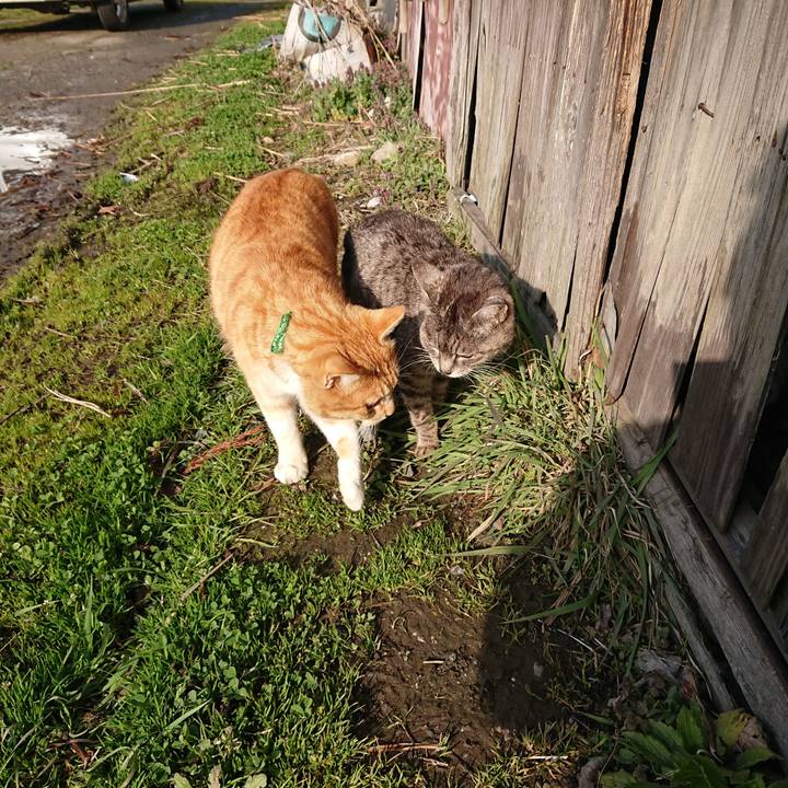 Da283df7 62ea 4403 803d 4f9ebc7a6012 1584747974676