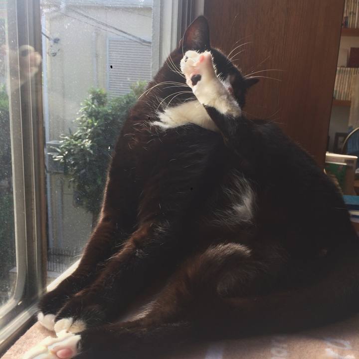 Da2862c2 0876 49e4 9764 9bc59195ad80 1509666822804