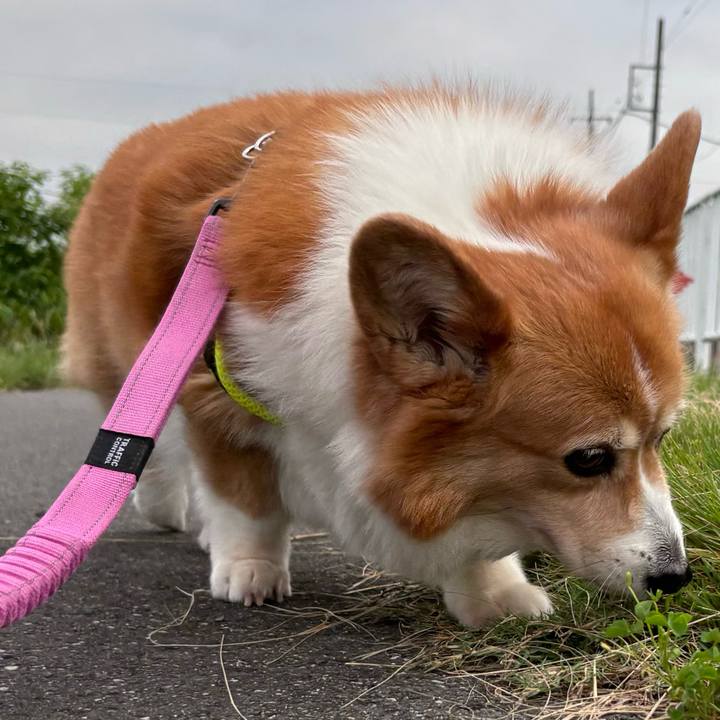 Da28a334 9f88 4ad8 9f01 2700c0d24a84 1752872569862