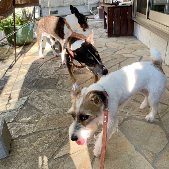 Da28bab4 2e5c 4096 be6e 1dbfa53eaac1 1628637799066