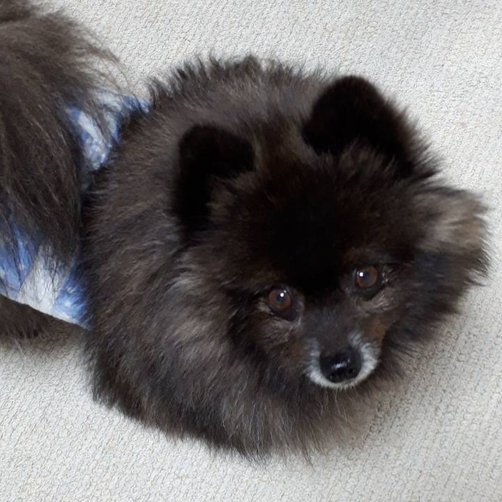 Da297cfa f736 4a1b afd6 8cbca62699ef 1520887123880