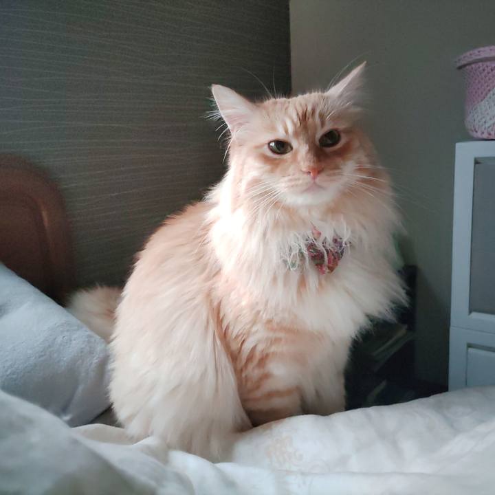 Da298d9f 9054 48bd a1ed 0aa8030dfccd 1654812084849