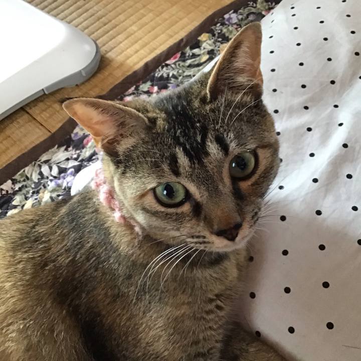 Da29a43b fc71 4544 834b 817ce36a2b66 1591245046500