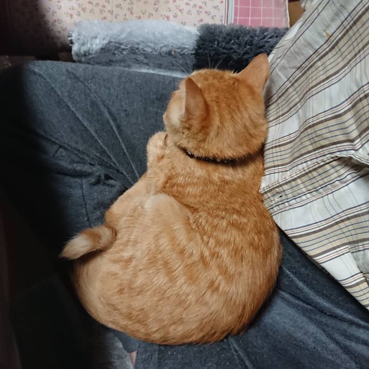 Da29c17c d966 48d2 92f0 911211098f1a 1634503985975