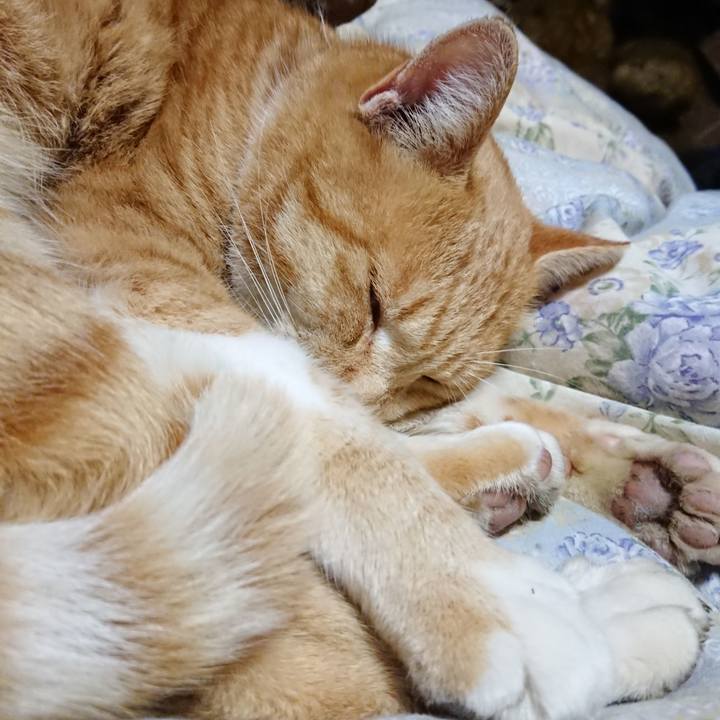 Da29d127 6b62 4968 9b2d 67138b865b5d 1576153791320