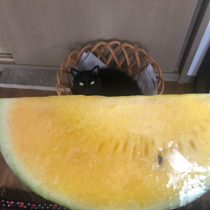 Da29e6c2 06f3 4e29 86fd f54538188ab1 1630116065365