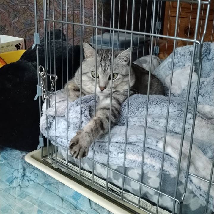 Da2a0545 c84c 4345 99db 79762bc7dd7f 1613651872955