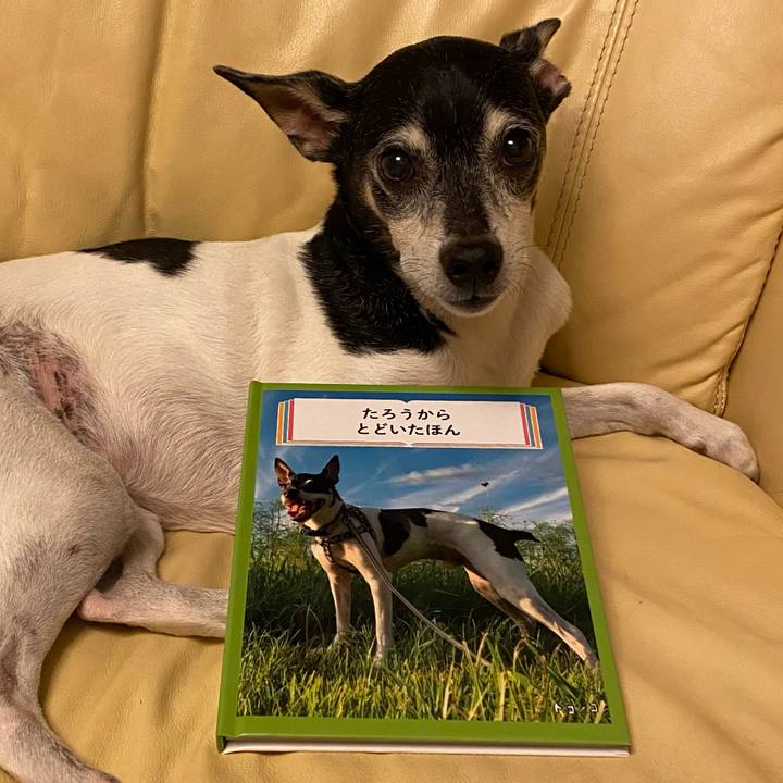 Da2a0be3 cfb4 45a6 ae4b 0dbc411bb728 1625058164639