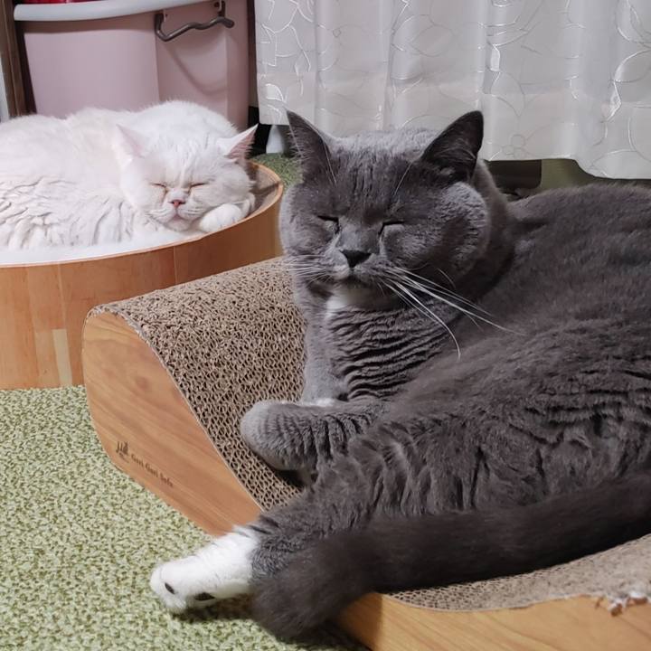 Da2a0d03 1cc5 4d71 8d5b a66ea0525a0e 1654867532924