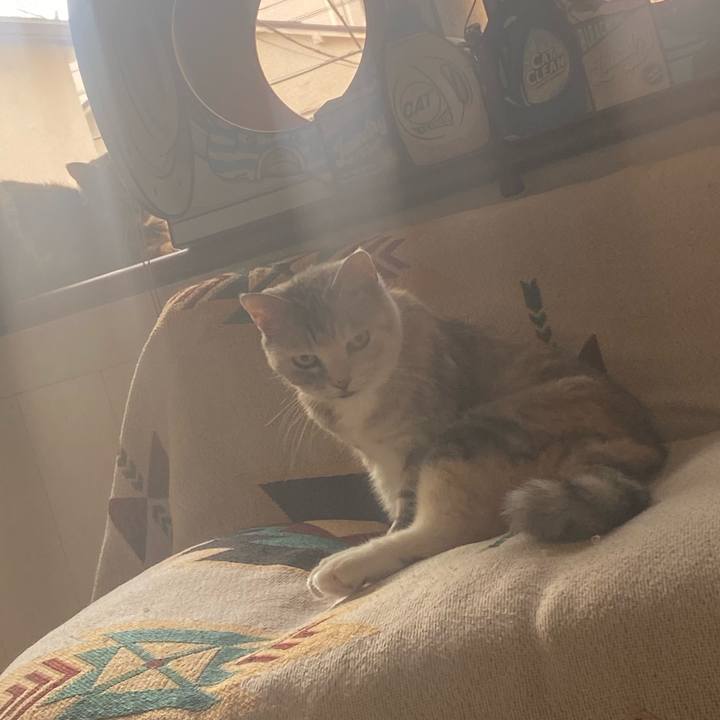 Da2a0fff e487 4f21 9003 ea8b10952fbc 1756449237910