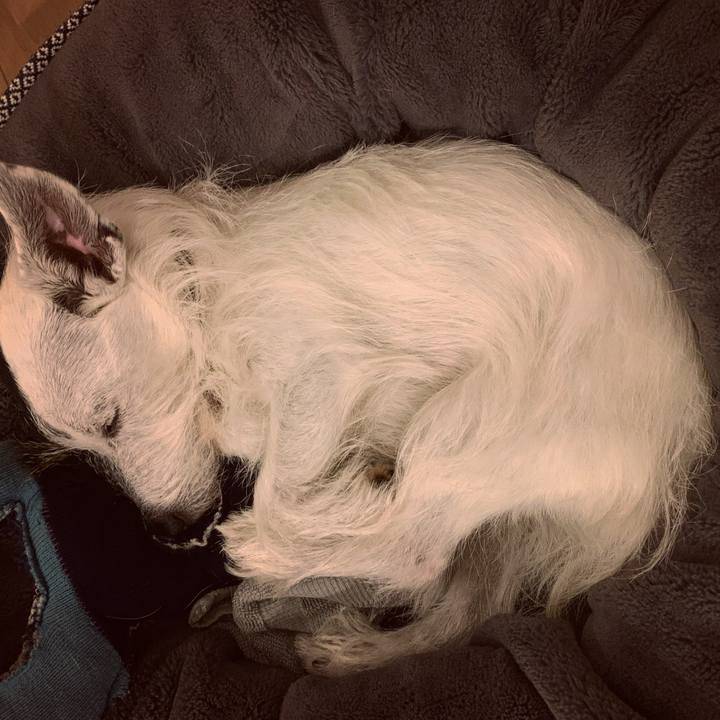 Da2af0a3 6151 4db9 91c3 dc070b17be48 1699273562385