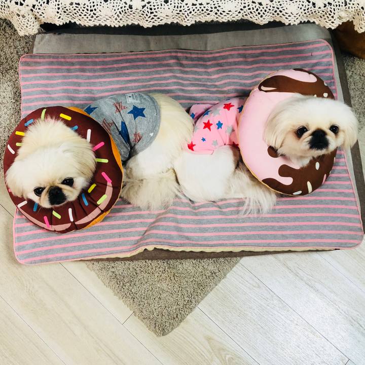 Da2afebd 6438 45b7 bebd 768c99b56630 1595856424170