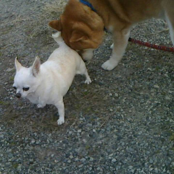 Da2b037f 80a1 4740 bca8 f9b5e7ce5da2 1548415381857