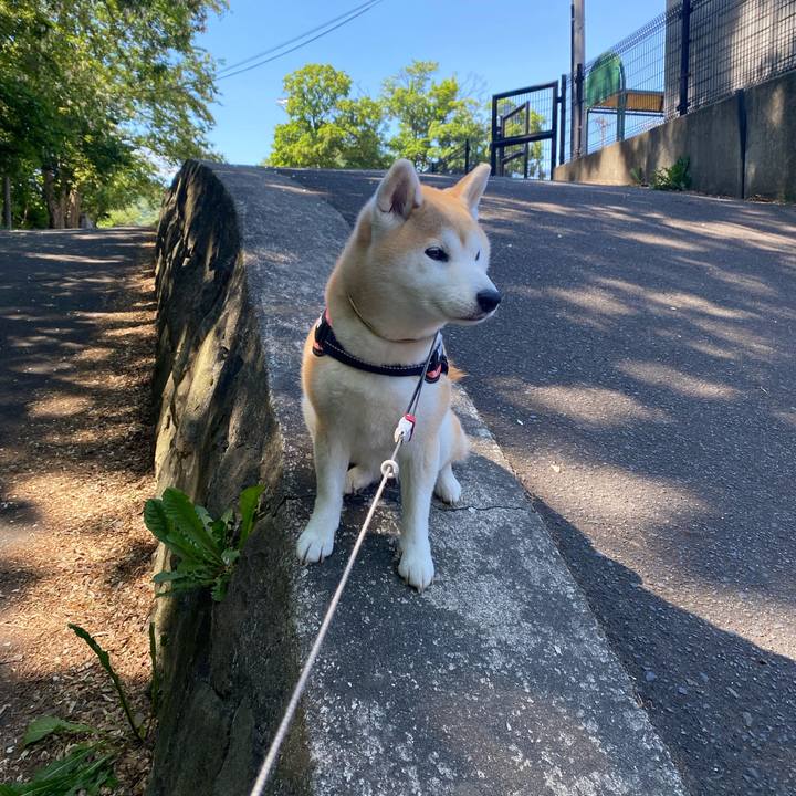 Da2b1f6d 3ab7 478b a947 170475049e6b 1717471112760